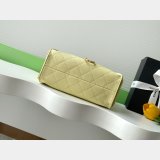 2026 Best CC 25 Mini Handbag AS5631