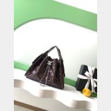 Spring Top Quality 1:1 AS5631 & AS5293 Summer 2026 25 Hobo Bag