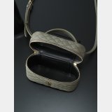 YSL GABY Vanity Bag In Lambskin