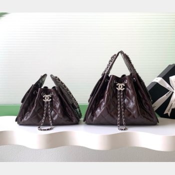 Spring Top Quality 1:1 AS5631 & AS5293 Summer 2026 25 Hobo Bag