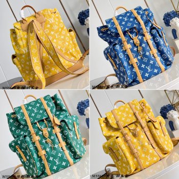 Louis Vuitton M55699 Christopher MM Monogram Taurillon Leather Bags