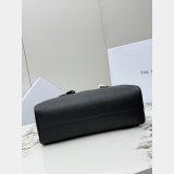 THE ROW E/W india BAG