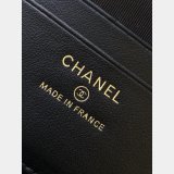 Perfect Fall-Winter 2025/26 Pre-Collection Vanity Chain Shiny AP4804 Bag