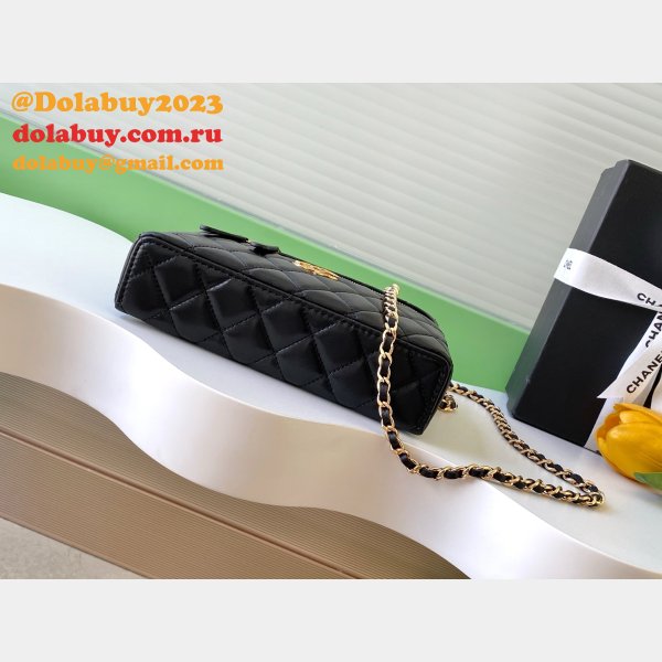 Perfect Fall-Winter 2025/26 Pre-Collection Vanity Chain Shiny AP4804 Bag